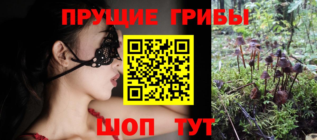 Галлюциногенные грибы мицелий  Вход с VPN  Волгоград 